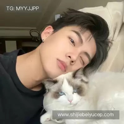 许禄仲